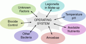 Operating System